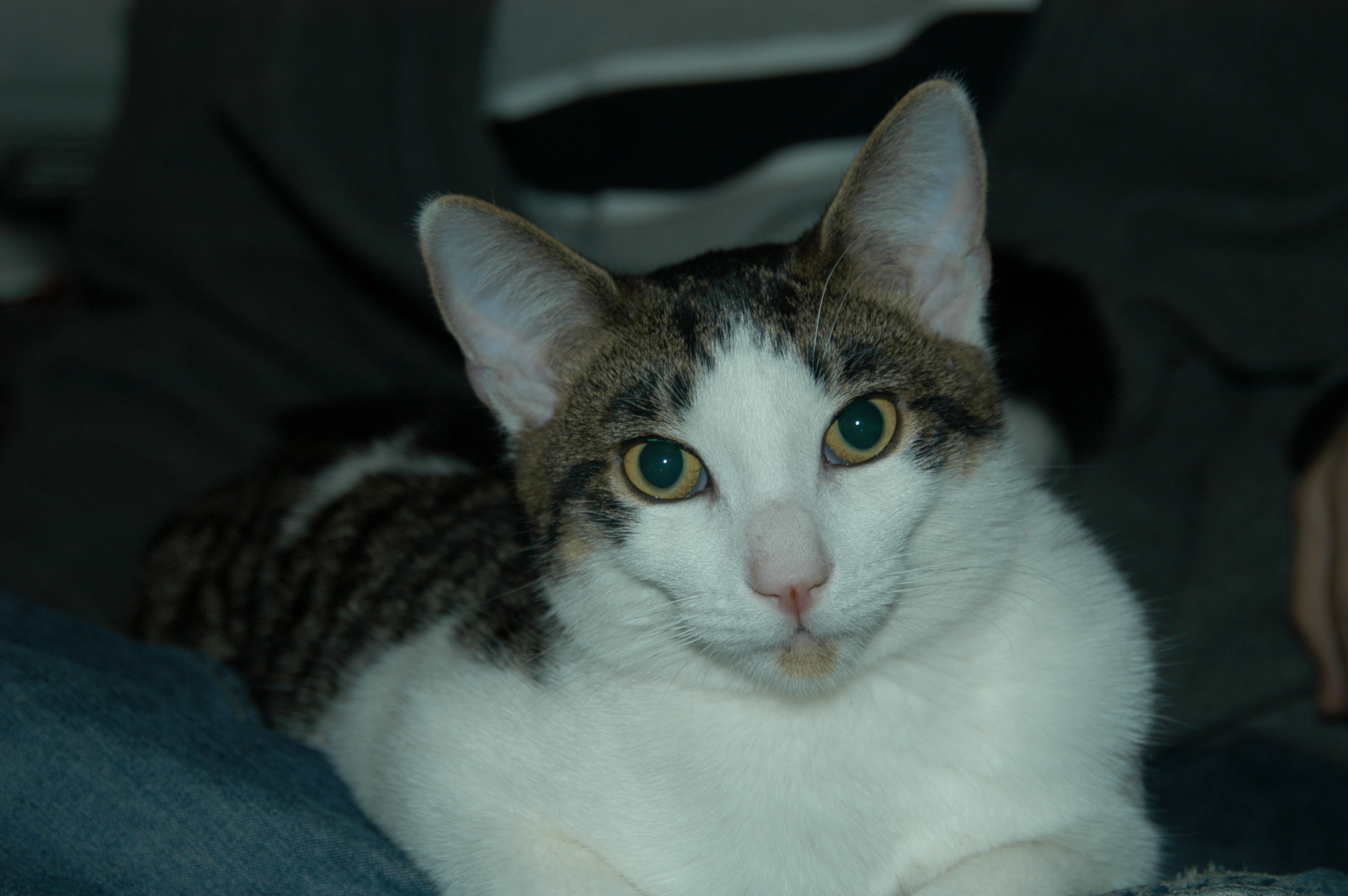 dsc_0227.jpg